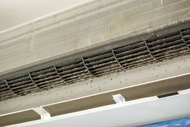 Best Ventilation Cleaning Services  in Reserve, LA