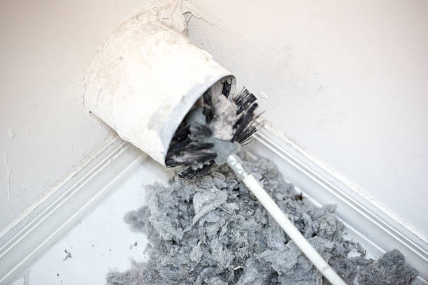 Best Professional Duct Cleaning Services  in Reserve, LA